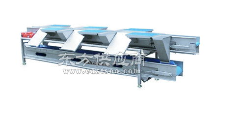 輸送 科邁達(dá)果蔬裝備 輸送機(jī)圖片